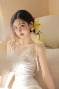 《我的标致伴侣2》中文版V713